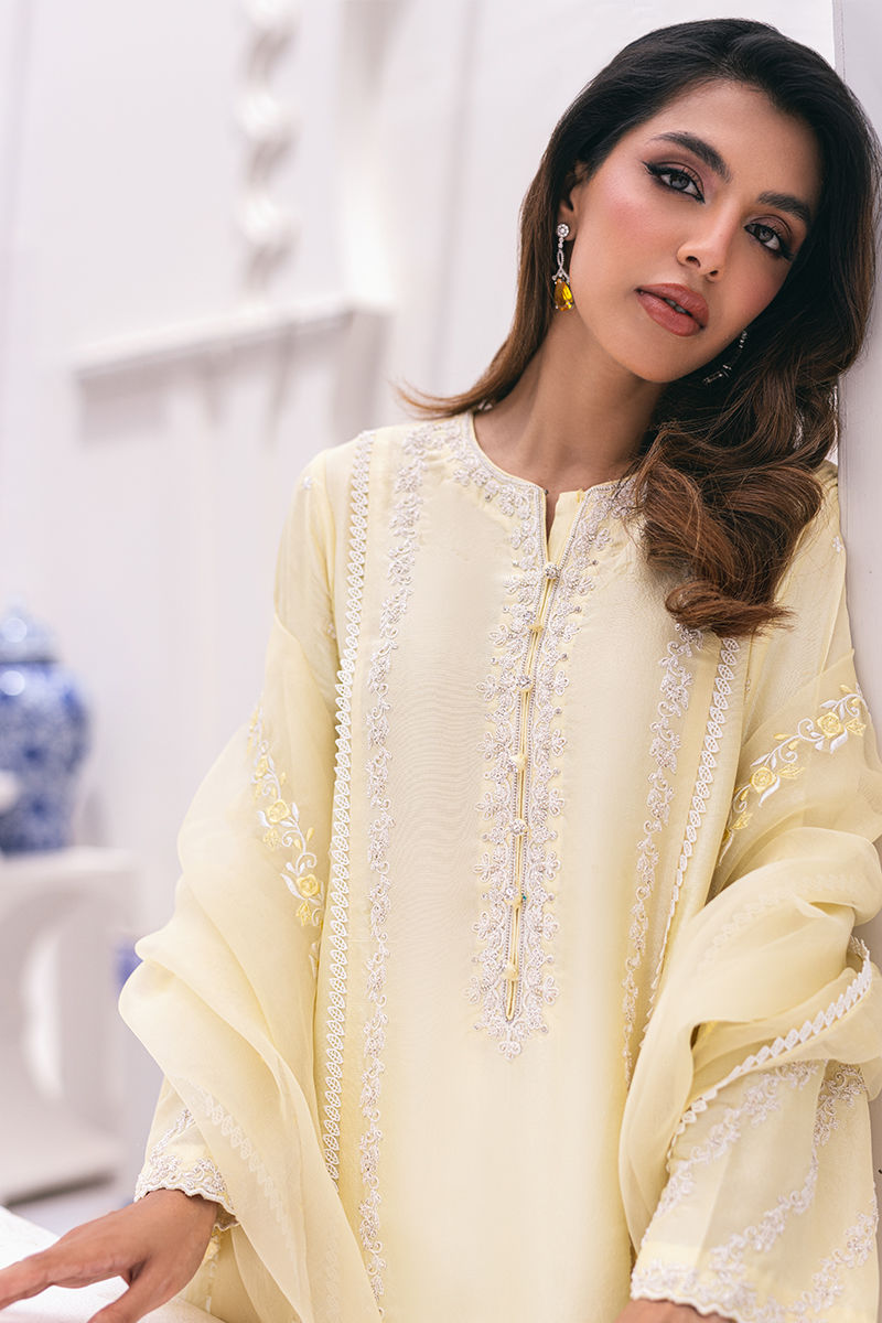 Ansab Jahangir | Luxe Pret Signature | BANEEN - Pakistani Dress - Maria Faisal