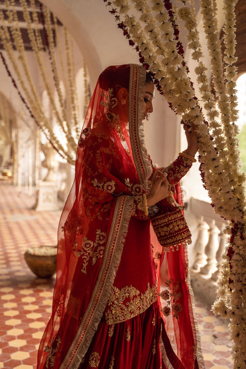 Maya | Wedding Formal Raabta | AFREEN - Maria Faisal