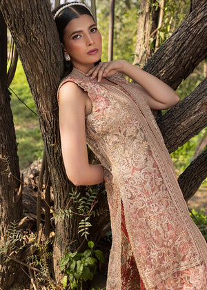 HSY | Summer Edit | Peach Terracotta - Ladies Clothes - Maria Faisal