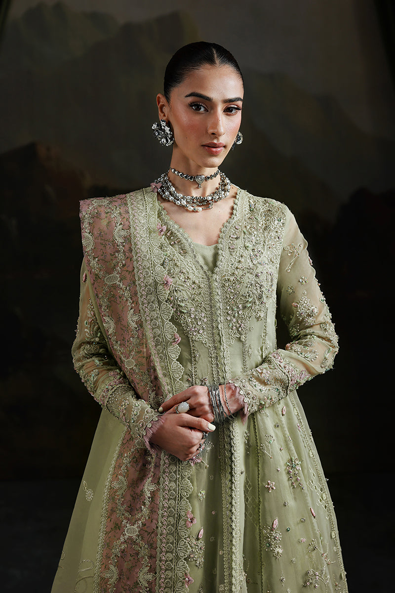 Qalamkar | Elirah Formals 25 | MF-02 SAGE AURA - Ladies Clothes - Maria Faisal