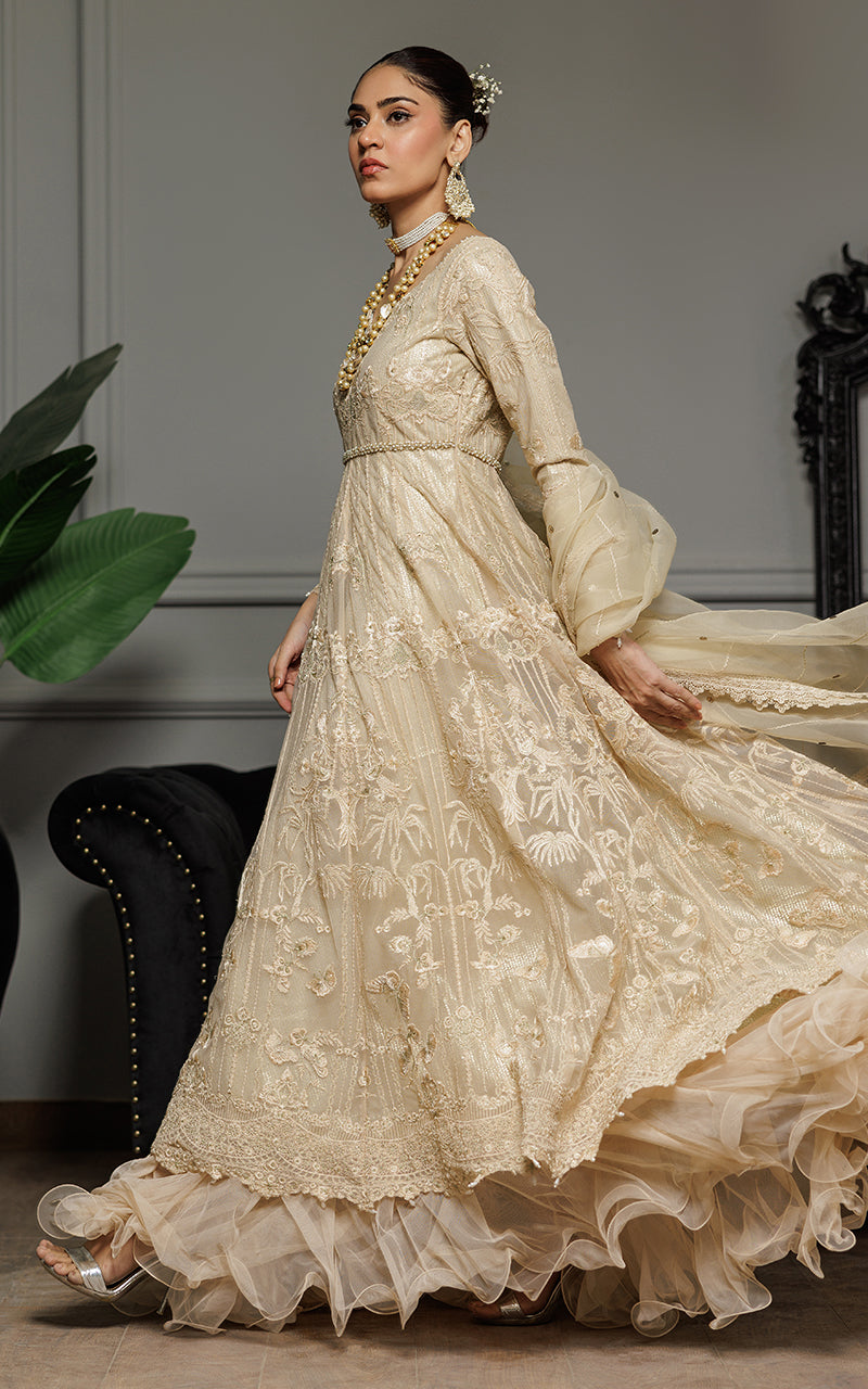 Threads and Motifs | Formal Dresses 25 | Net Embroidered Maxi