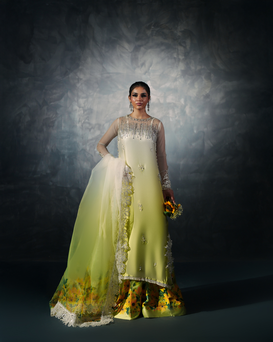 Vasal | Zyra Luxe Pret 26 | Saffron Mist - Ladies Clothes - Maria Faisal