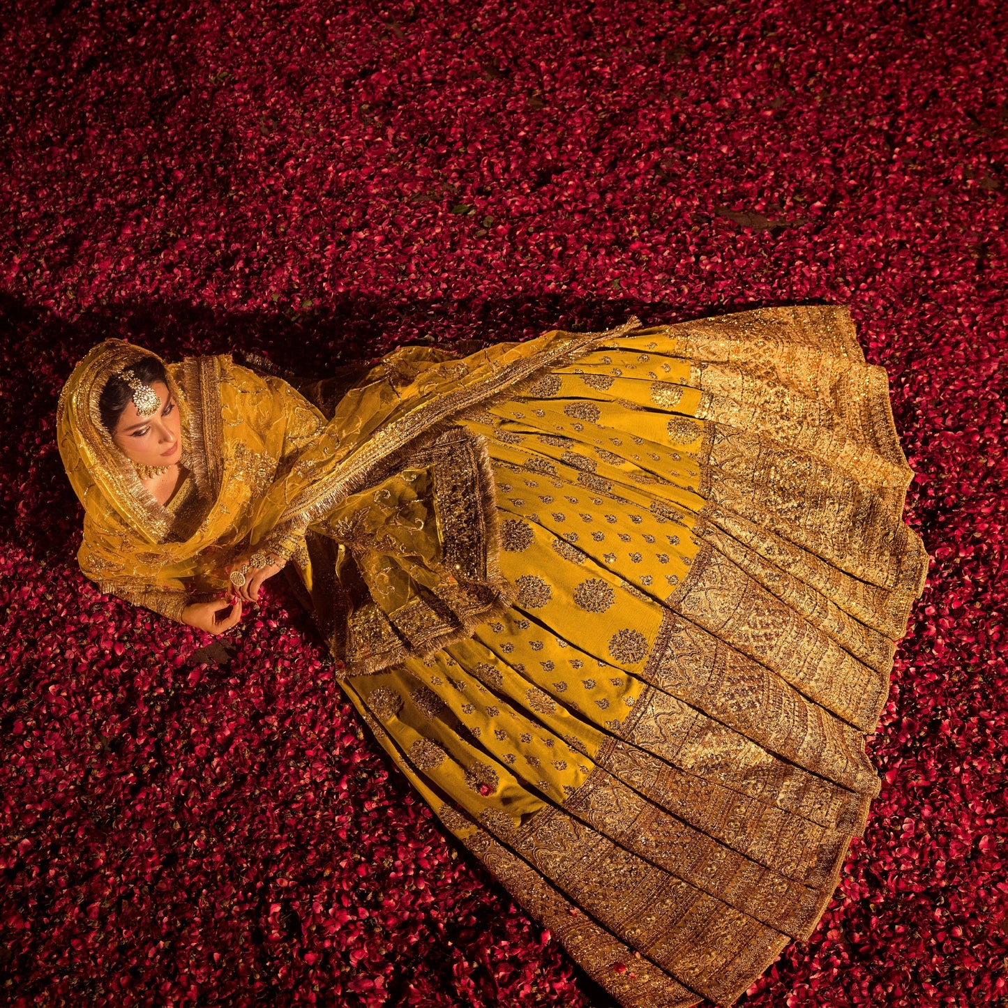 Erum Khan | Jahan Wedding Formals | MAHARANI - Wedding Dress - Maria Faisal