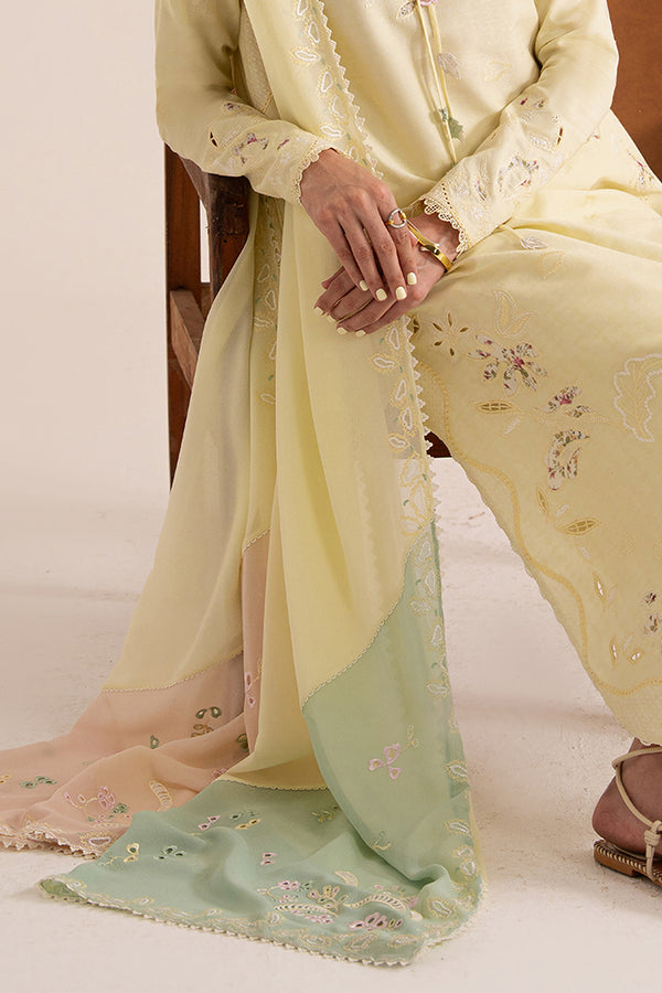 Suffuse | Basic Summer 25 | AMAAH