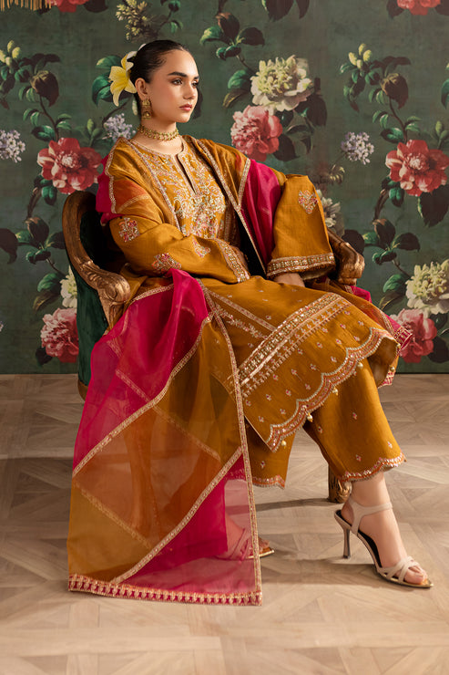 Emaan Adeel | Rangrez Collection | ARZOO - Ladies Clothes