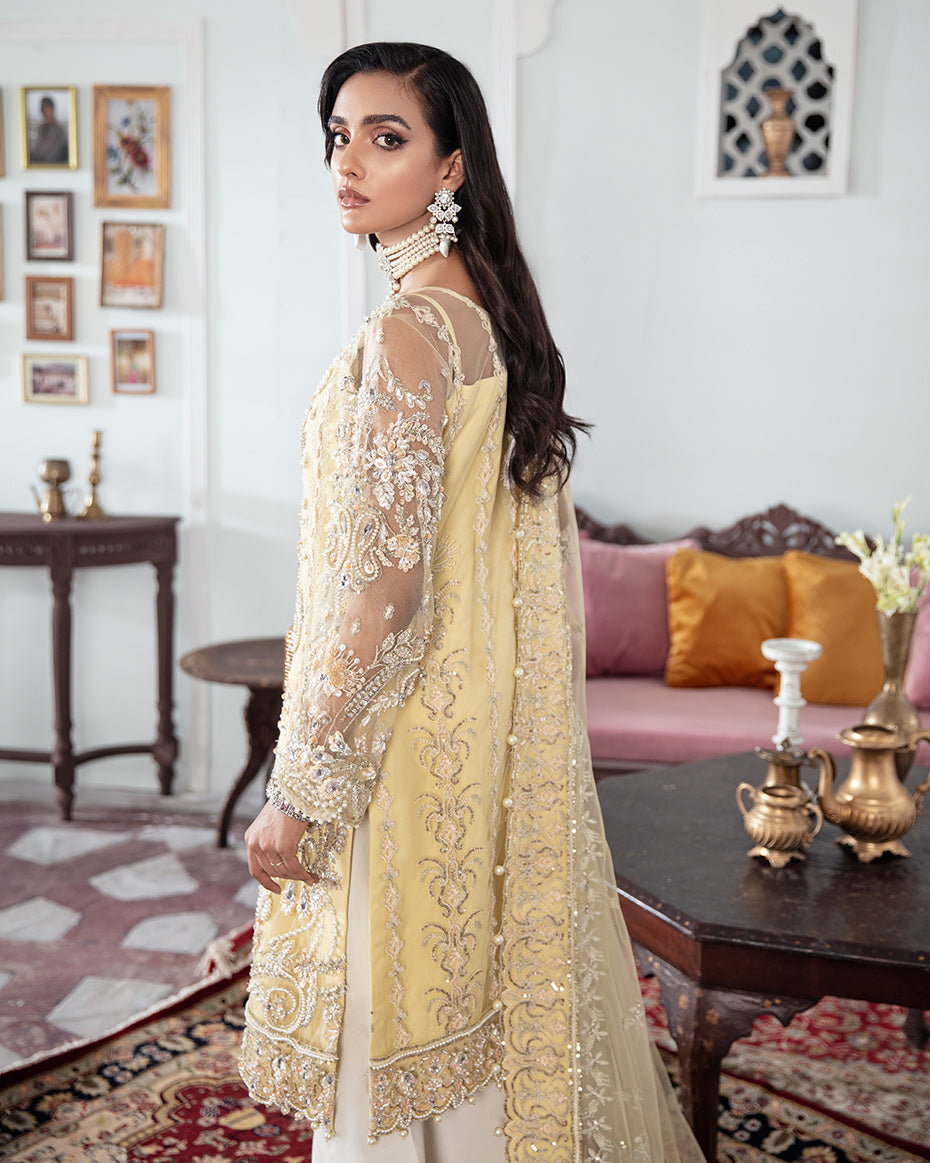 Gulaal | Wedding Formals | MAHJABEEN EMBROIDERED NET 3-PIECE SUIT WS-17 - Designer Dress with Intricate embroidery and embellishments. Shop elegent wedding dress at Maria Faisal.