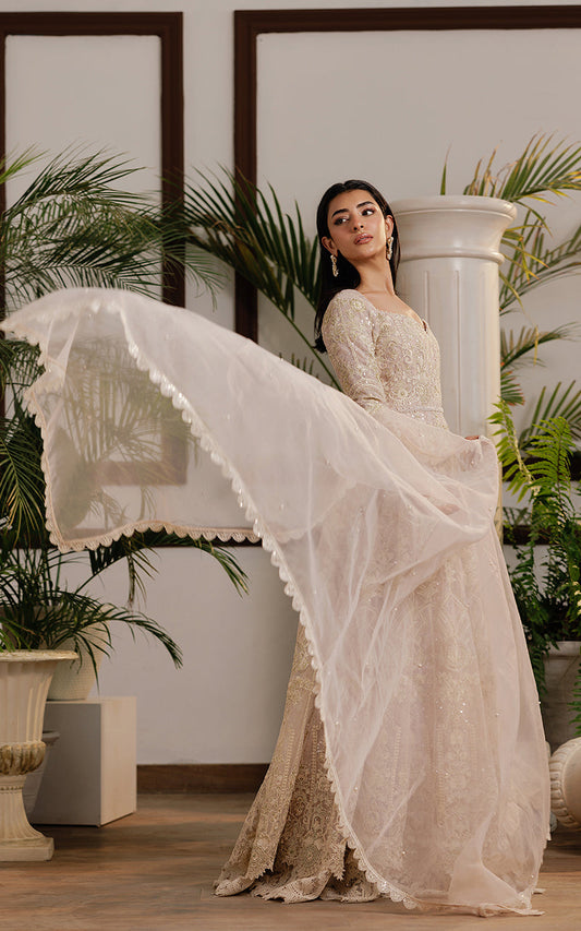 Threads and Motifs | Formal Dresses 25 | Net Embroidered Maxi - Ladies Clothes - Maria Faisal