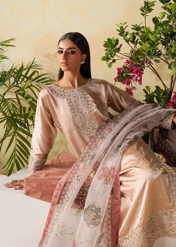 Haseens | Retaj Formals | Unaisa - Formal Dress - available at Maria Faisal in UK and USA.