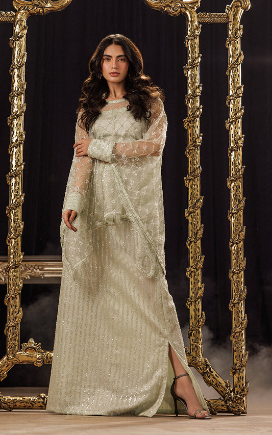 Threads and Motifs | Formal Dresses 25 | Net Embroidered Cape With Tube And Skirt - Ladies Clothes - Maria Faisal