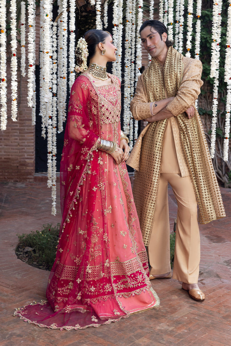 Rangrasiya | Wedding Formals 25 | Narmeen - Ladies Clothes - Maria Faisal