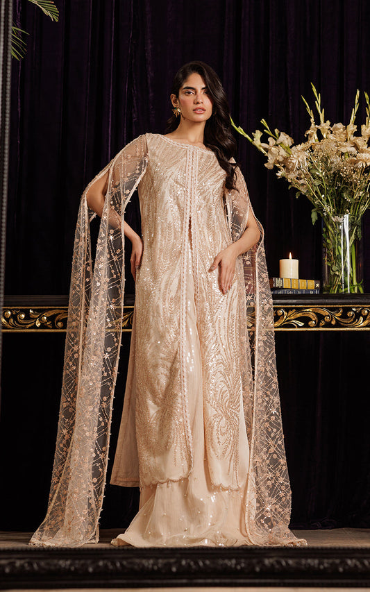Threads and Motifs | Formal Dresses 25 | Net Embroidered Dress With Skirt - Ladies Clothes - Maria Faisal