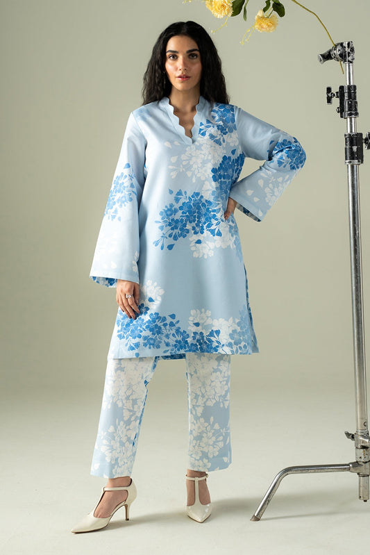 Afrozeh | Coords 25 | Muffled - Ladies Clothes - Maria Faisal