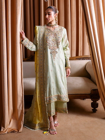 Faiza Faisal | Rema Wedding Formals 24 | Sehr - Designer Dress with Intricate embroidery and embellishments. Shop elegent wedding dress at Maria Faisal.
