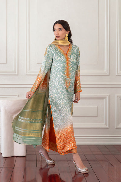 Mina Hasan | Eid ul Adha 26 | Husna - Luxury Dress - available at Maria Faisal in UK and USA.