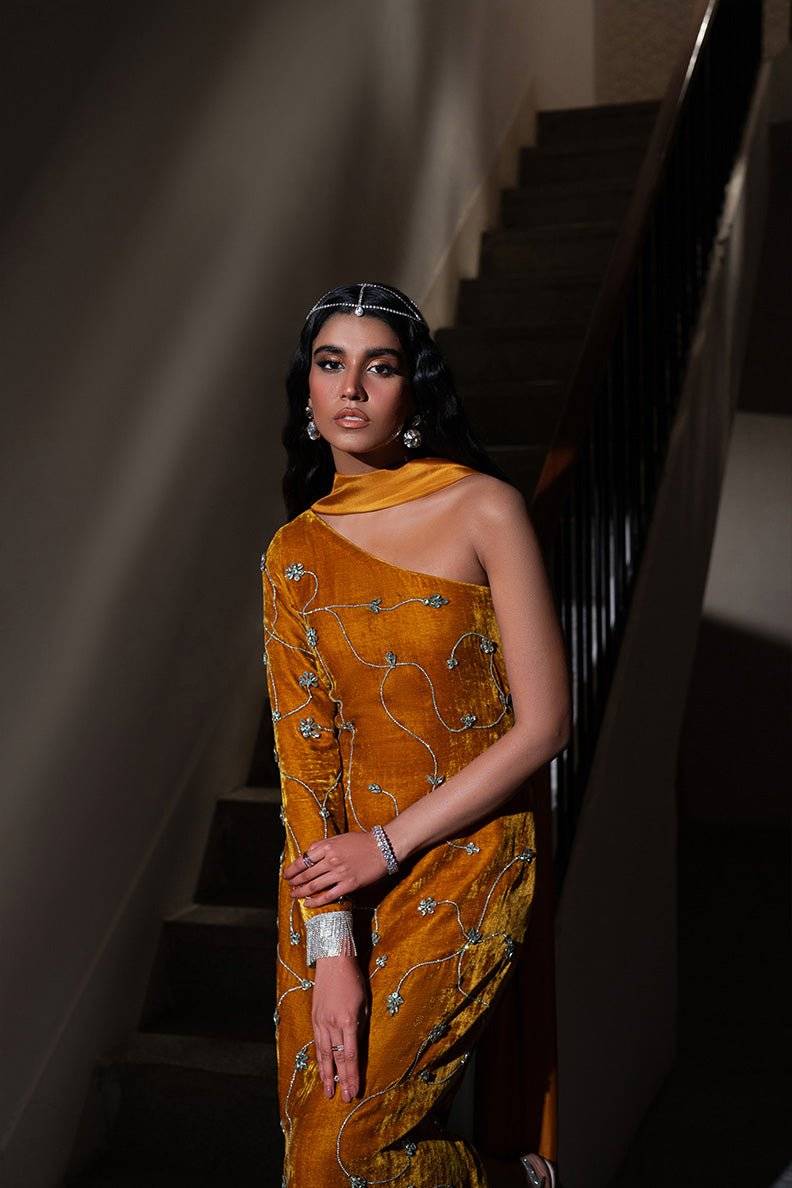 Caia | Luxury Velvet Edit 25 | Amber by Maria Faisal - Registered Vendor of : Caia - type : Ladies Clothes - 100% original wedding dresses