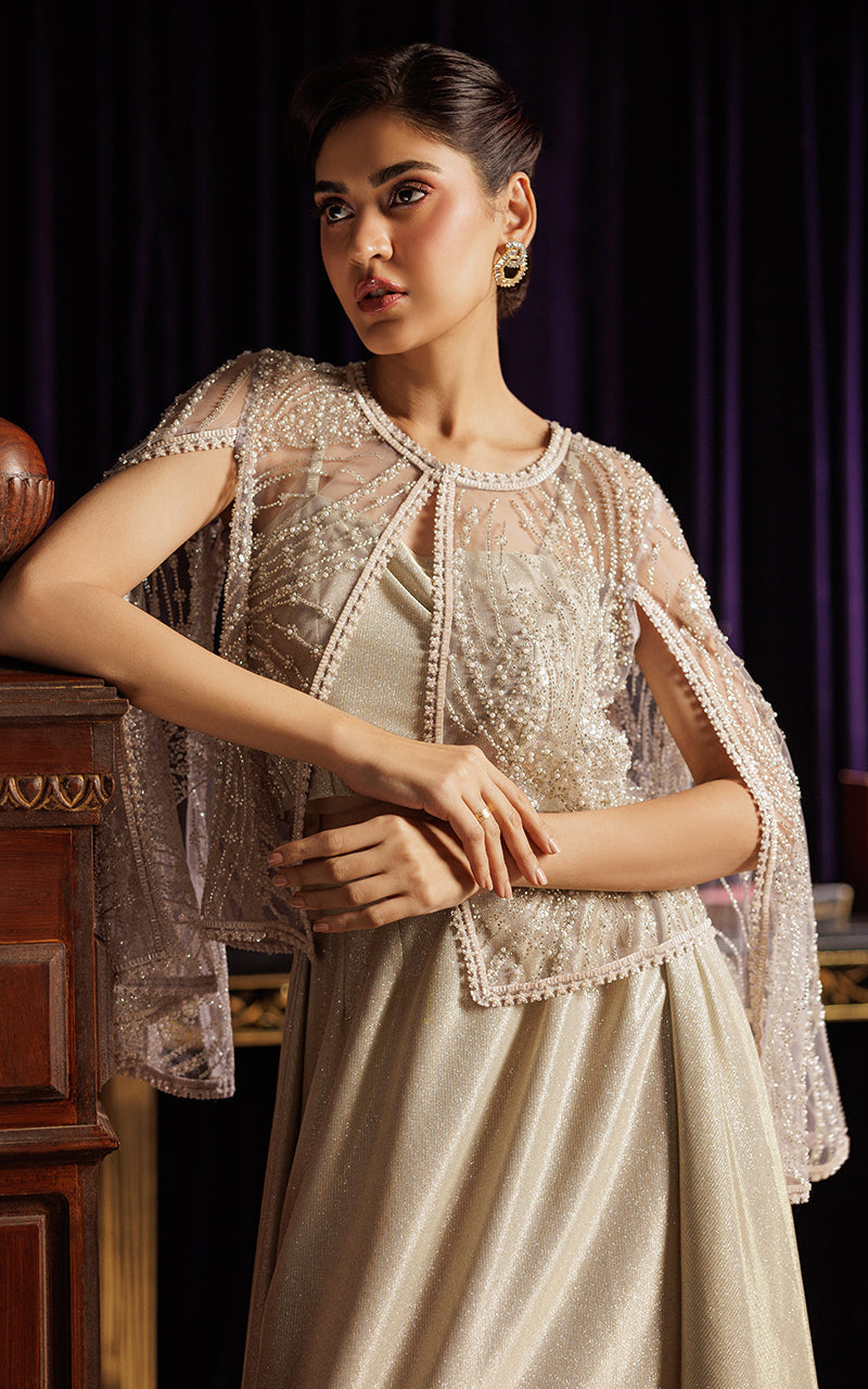 Threads and Motifs | Formal Dresses 25 | Embroidered Cape with Tube and Skirt