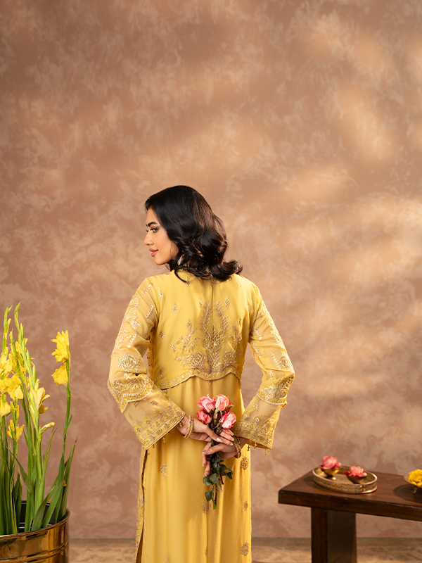 Zebtan | Zeenat Festive Collection | ZN-01 - Maria Faisal