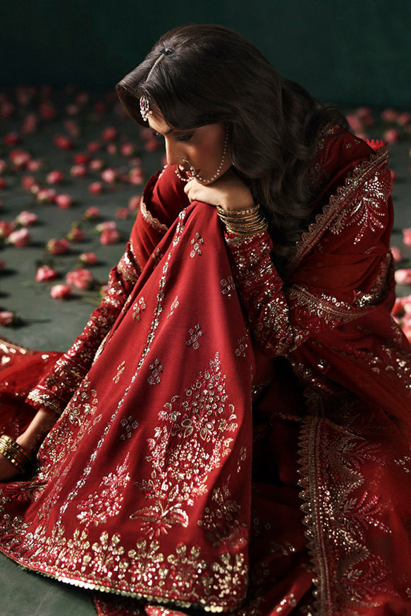 Afrozeh | Divani Silk Edit 24 | Tajdaar - Ladies Clothes