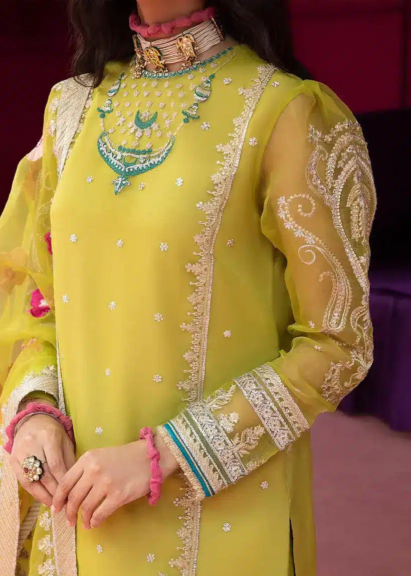 Ali Xesshan | Bhaag Lagay Rain | ANGORI BAGH  LP-010