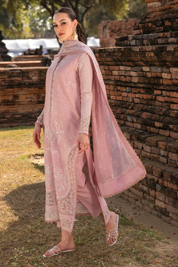 Saffron | Solace Winter Edit | Daphne - Ladies Clothes