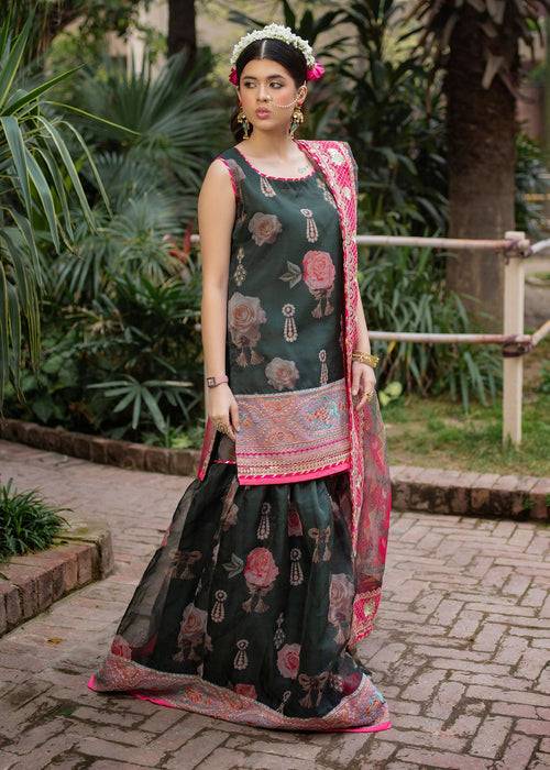 Ali Xeeshan | Chanda Luxury Pret | Green Forest by Maria Faisal - Registered Vendor of : Ali Xeeshan - type : Ladies Clothes - 100% original wedding dresses