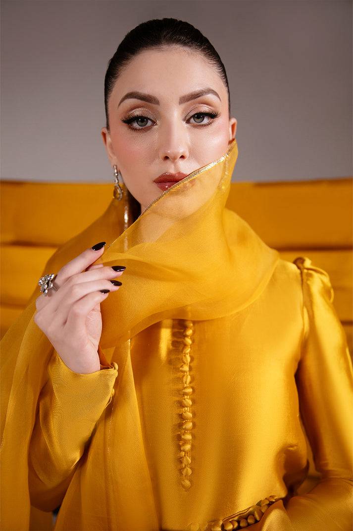 Raja Salahuddin | House of Mina |Daisy by Maria Faisal - Registered Vendor of : Raja Salahuddin - type : Ladies Clothes - 100% original wedding dresses