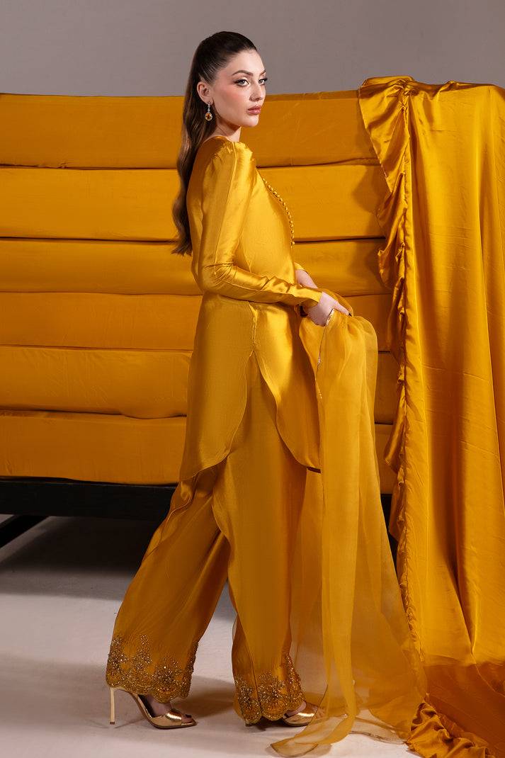 Raja Salahuddin | House of Mina |Daisy by Maria Faisal - Registered Vendor of : Raja Salahuddin - type : Ladies Clothes - 100% original wedding dresses