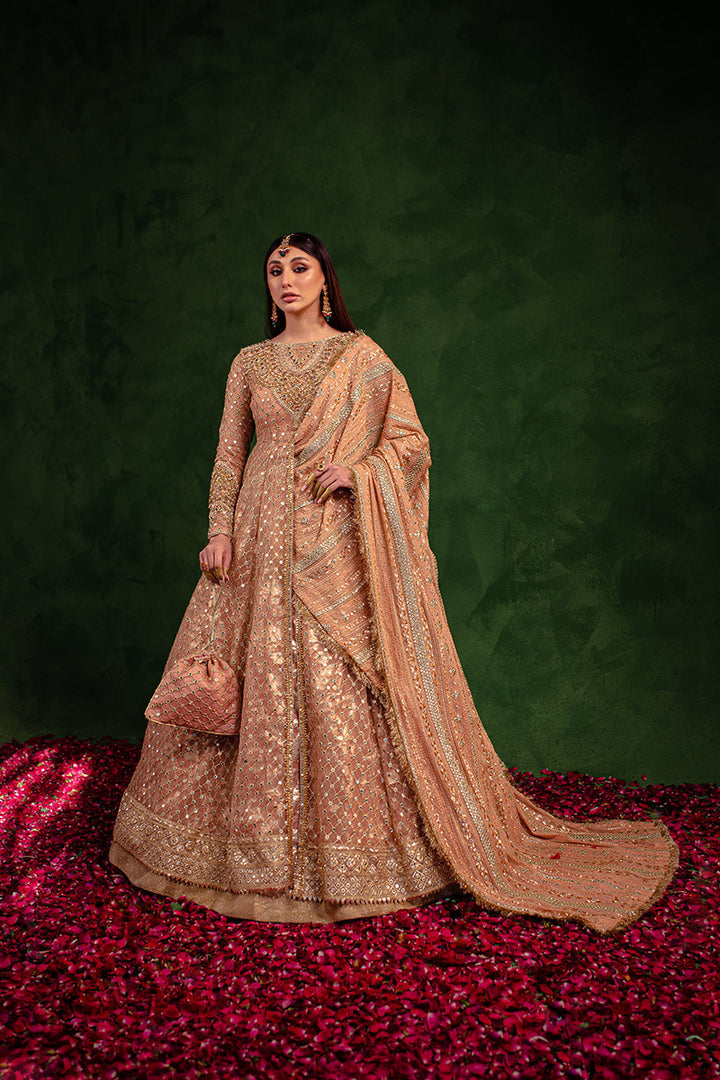 Maria Osama Khan | Salma Sitara | VASL - Ladies Clothes - Maria Faisal