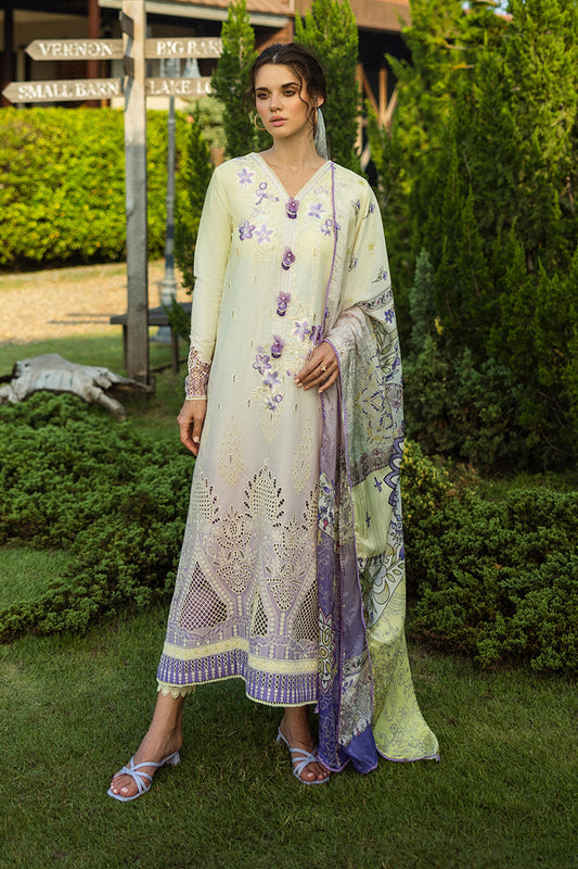 Mushq | Solace Ombre Chikankari | Gioia by Maria Faisal - Registered Vendor of : Mushq - type : Ladies Clothes - 100% original wedding dresses