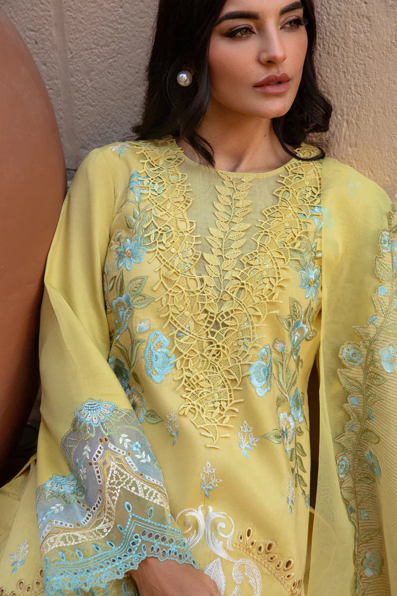 Rangrasiya | Premium Lawn 24 | Amani - Waniyas