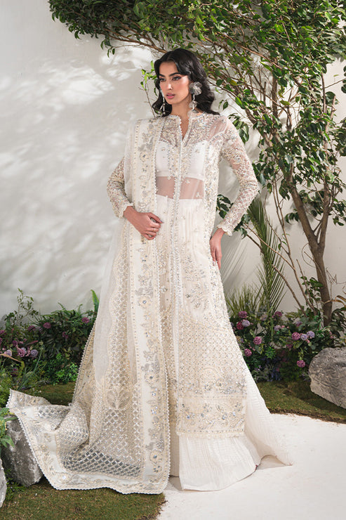 Saffron | Celeste Festive Edit 24 | Camille - Maria Faisal