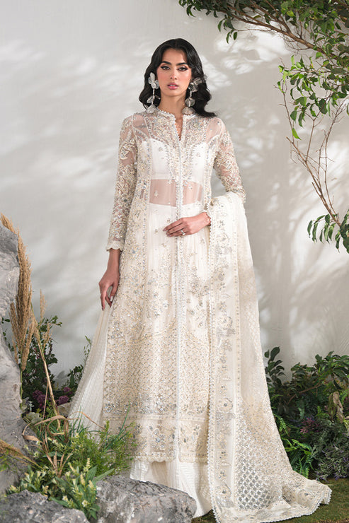 Saffron | Celeste Festive Edit 24 | Camille - Maria Faisal