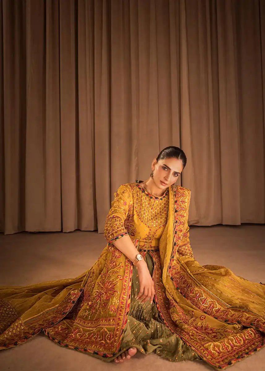 HSY | Rehana Collection 2023 | Ronak