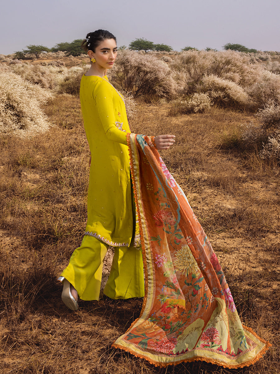 Salitex | Luxury Wear 24 | 26 - Ladies Clothes - Maria Faisal