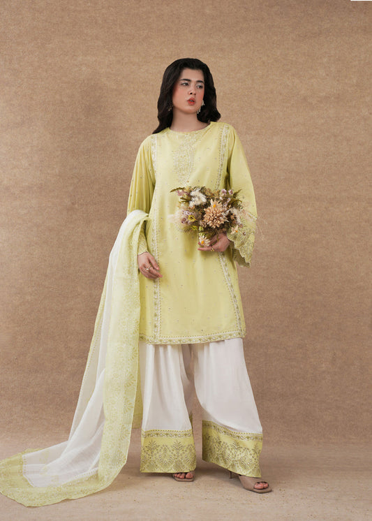 Laj | Festive Eid 25 | LE02-08-25 by Maria Faisal - Registered Vendor of : Laj - type : Ladies Clothes - 100% original wedding dresses
