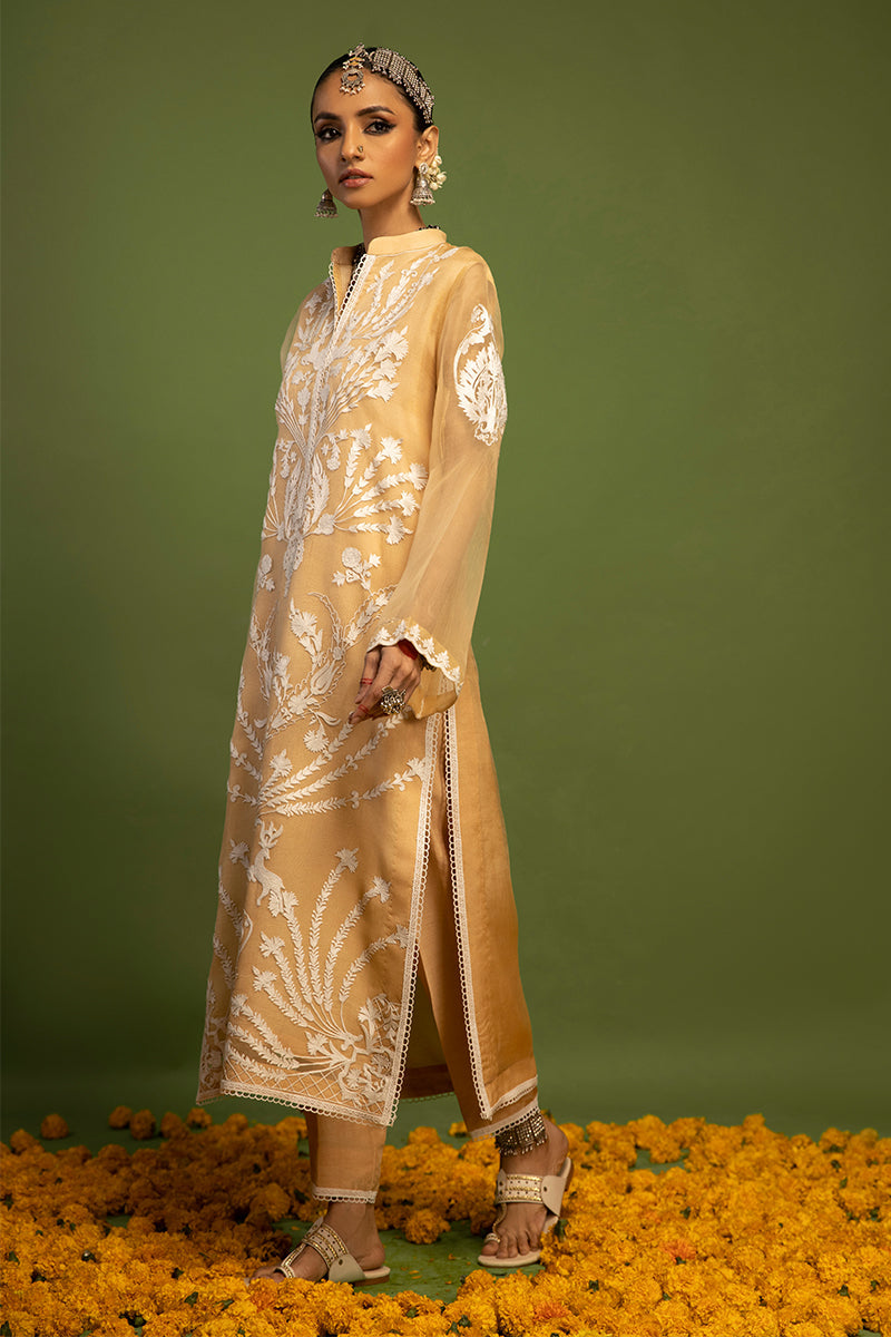 Wardha Saleem | Luxury Pret Traditional Wear | SHIKAR GAH - AARI WORK (2 PC) - Ladies Clothes