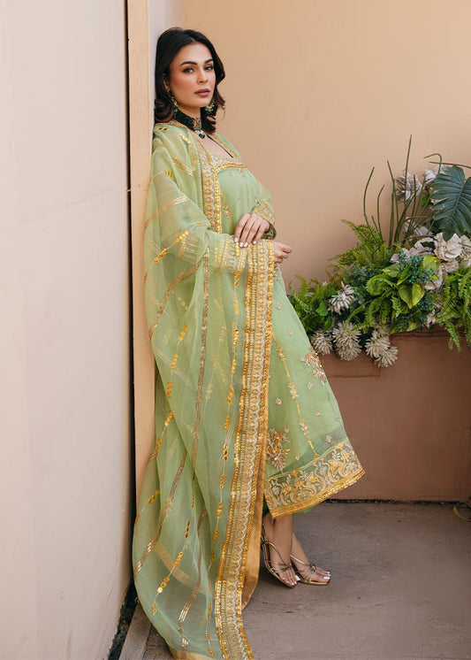 Daud Abbas | Formals Collection | Sunahri - Waniyas