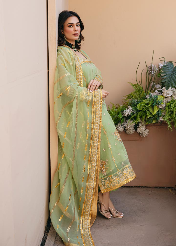 Daud Abbas | Formals Collection | Sunahri - Waniyas