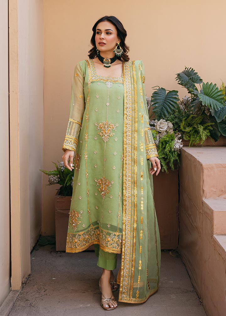 Daud Abbas | Formals Collection | Sunahri - Waniyas