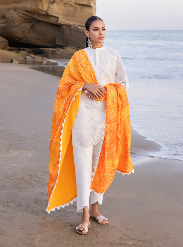 Zainab chottani | Luxury Chikankari 24 | CHUNARI - 3B - Ladies Clothes - Maria Faisal