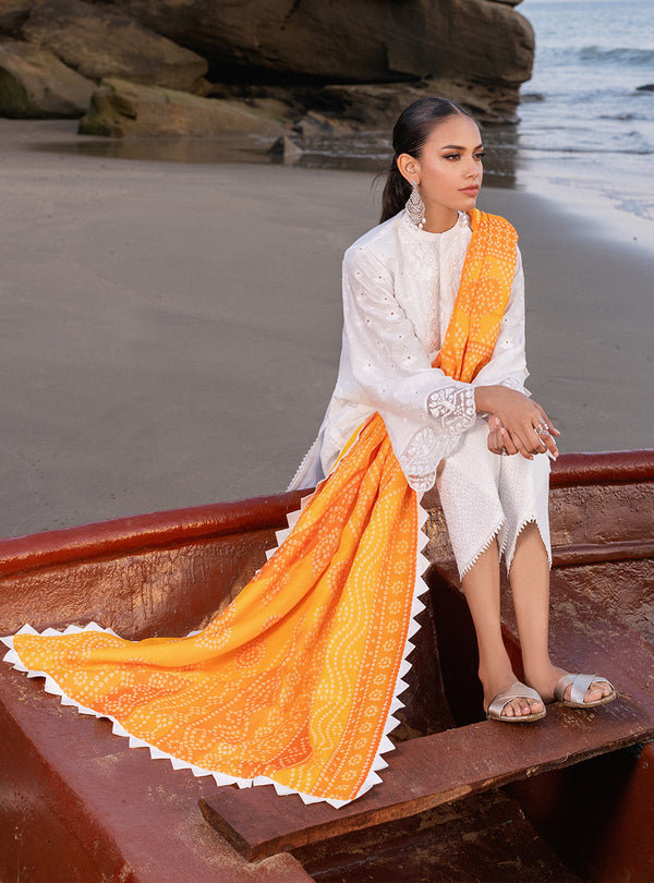 Zainab chottani | Luxury Chikankari 24 | CHUNARI - 3B - Ladies Clothes - Maria Faisal