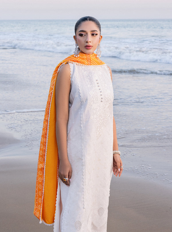 Zainab chottani | Luxury Chikankari 24 | CHUNARI - 3B - Ladies Clothes - Maria Faisal