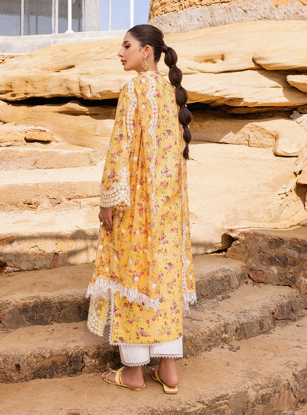Zainab chottani | Luxury Chikankari 24 | ESME - 9B - Ladies Clothes - Maria Faisal