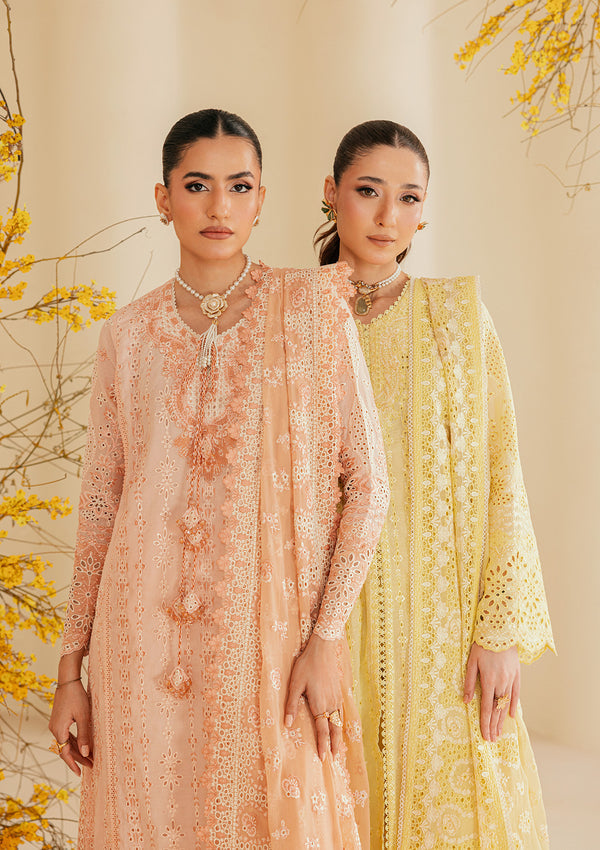 Aik Atelier | Lawn 26 | Look B2604B - Luxury Dress - available at Maria Faisal in UK and USA.