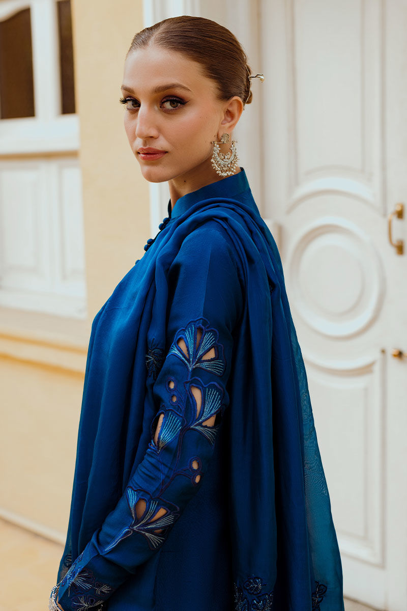 Ansab Jahangir | Luxe Pret Eid 24 | INARA - Pakistani Dress - Maria Faisal