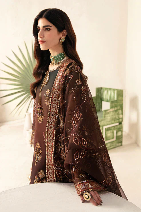 Alizeh | Heer Festive Collection 24 | Hazel - V17D01 - Pakistani Dress - Maria Faisal