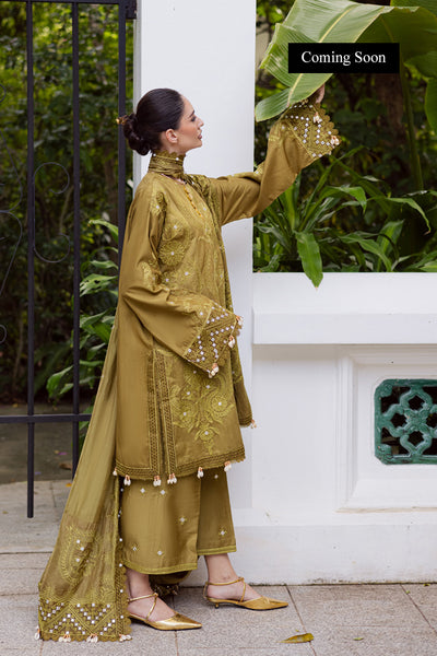 Marjjan | Lovella Winter 25 | MEV-43 A (OLIVE) - Ladies Clothes - Maria Faisal