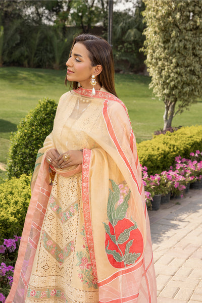 Altan | Noor e Bahar | Nilofer - Ladies Clothes - Maria Faisal