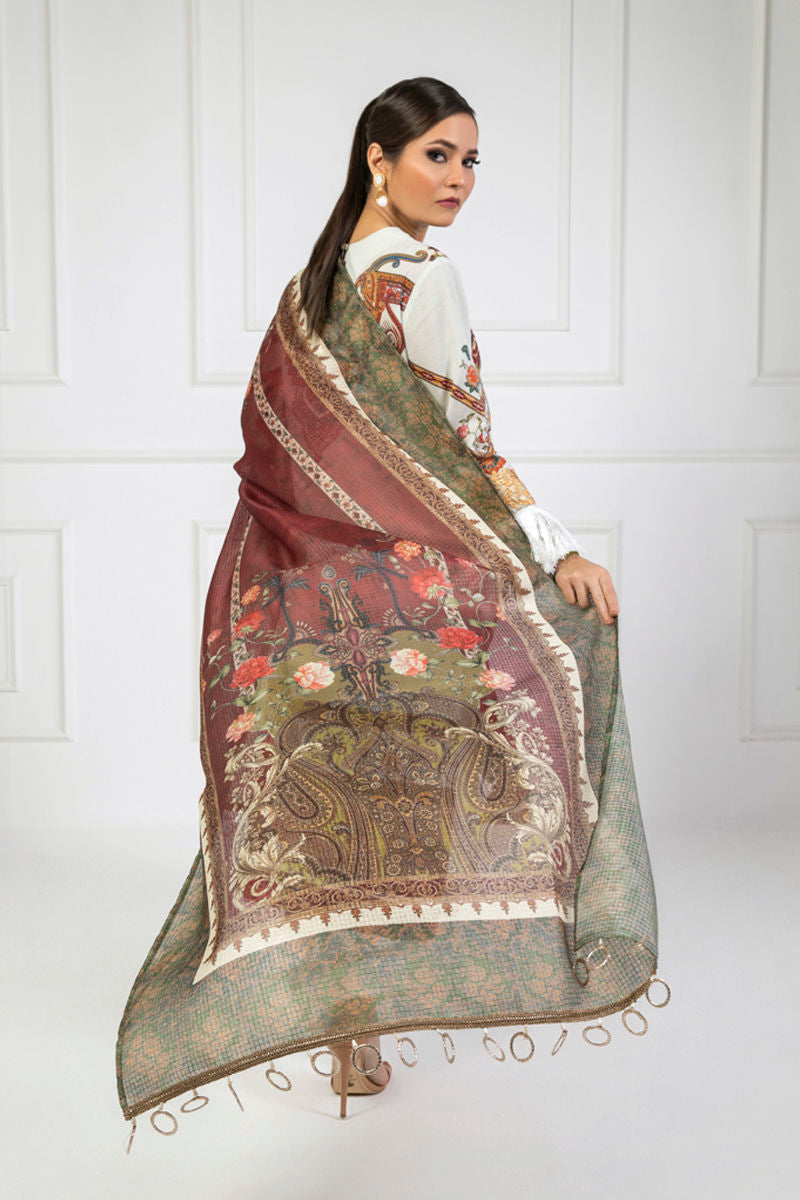 Shamaeel Ansari | Lawn 24 | LV11 - Ladies Clothes