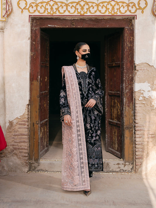 Flossie | Siara Velvet Formals | V-103 - A - Ladies Clothes - Maria Faisal